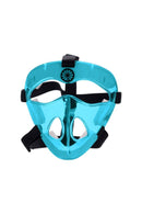 Face guard