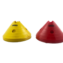 Rood en gele pionnen